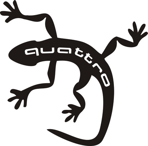 Gecko quattro rallye 4x4 - gecko,