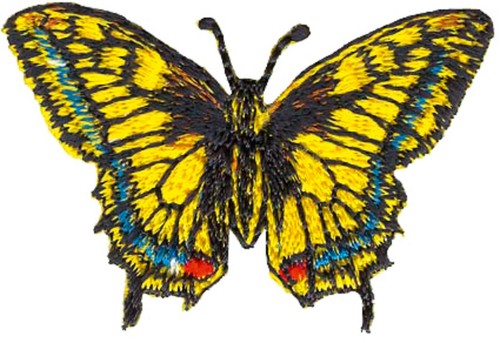 Schmetterling schwalbenschwanz - schmetterling,