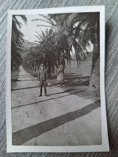Foto Militaria Pioner Leutnant Afrika, ohne Jahreszahl