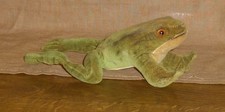 Steiff Frosch-uralt-Samt-ohne Id`s-21cm-guter Zustand