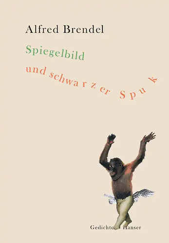 Spiegelbild und schwarzer spuk - spiegelbild,