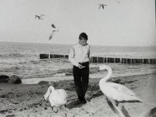 Foto set ddr ostsee - 🦢, 2x