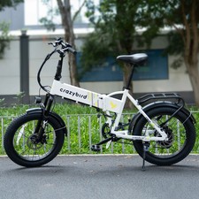 CB10 20Zoll Elektrofahrrad