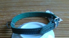 Hundehalsband grün Leder Filz