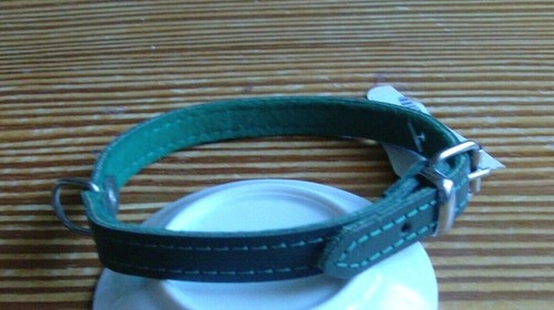 Hundehalsband grün leder - grün, filz