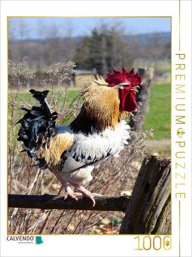 Calvendo puzzle federvieh - calvendo,