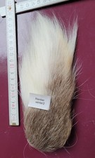 Rentier Fellstück 2