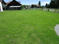 easygreen® Trockenrasen 24m²