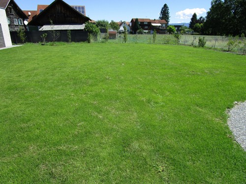 Easygreen trockenrasen 24m - easygreen®, 24m²