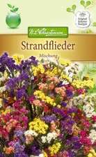 STRANDFLIEDER Mischung  Statice ca. 60  Samen Schnitt  Blumen Stauden 5515