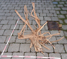 Super XXXLTraumwurzel 13_MOORKIENWURZEL_Blickfang_Traumstück_Wilde Natur TOP