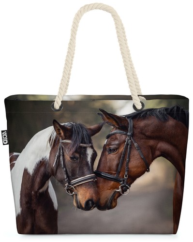 Pferde fohlen reiten sommer - fohlen,