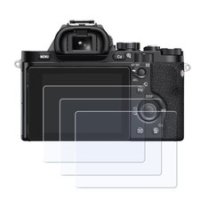 Display-Schutzglas für Sony