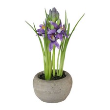 Kunstpflanze HYAZINTHE im Zementtopf. Ca 15cm. Künstliche Lilie getopft. LILA