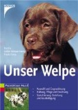 Unser Welpe Auswahl und