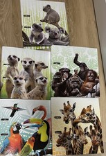 10 Herma Ordner Exotische