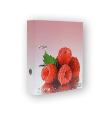 Motivordner din 8cm - motivordner,