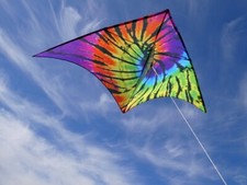 Drachen Einleiner Delta Rainbow Rider 210cm
