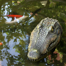 Schwimmender krokodilkopf - krokodilkopf, –