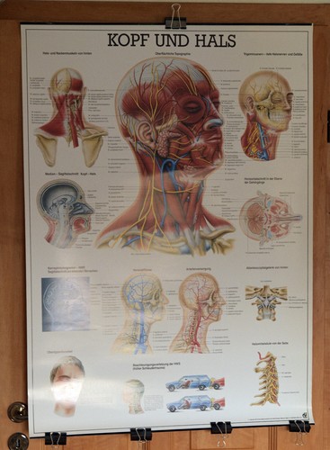 Rüdiger lehrmittel lehrtafel - rüdiger,