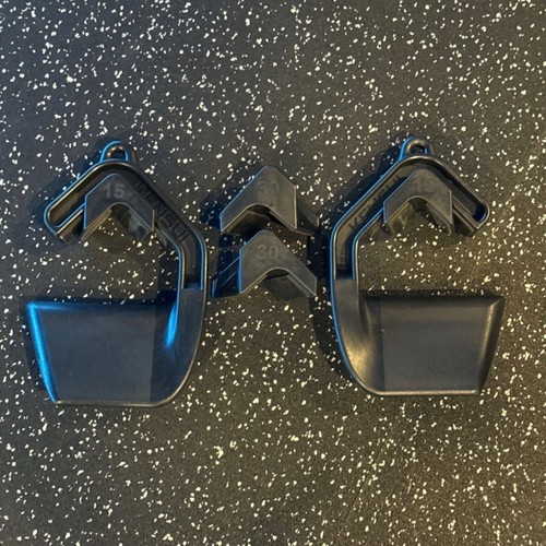 Kensui swissies with angle - kensui,