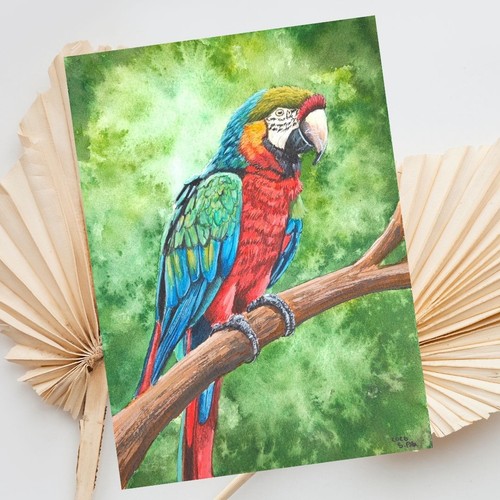 Aquarell papagei gemälde - papagei,