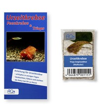 Triops longicaudatus