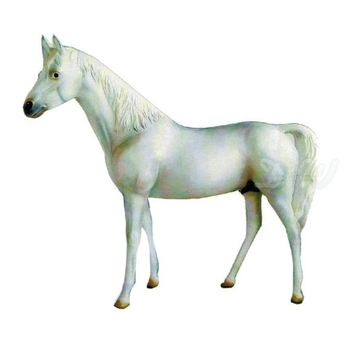 Pferd leopold lebensgroß - leopold,