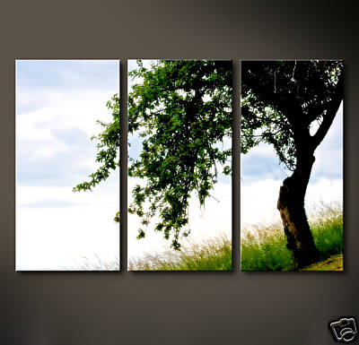 Tree childhood leinwand - tree, of