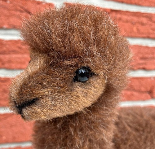 Kösen 5611 alpaka alpaca - alpaka,