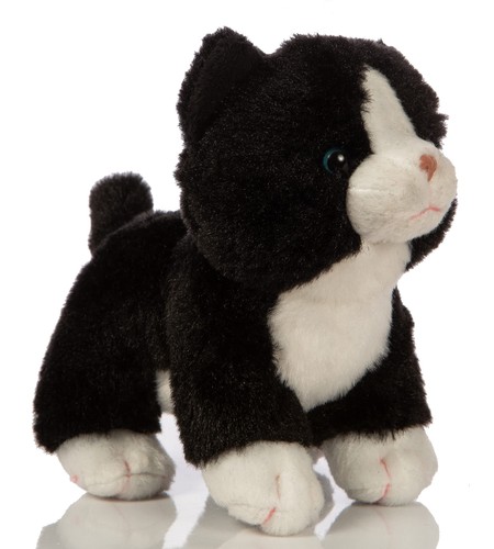 Katzenbaby schwarzweiß - katzenbaby,
