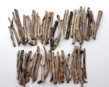 Treibholz Schwemmholz Driftwood 50 Ästchen  Basteln  17  -  25  cm *C*