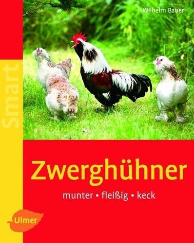 Zwerghühner munter - zwerghühner:,