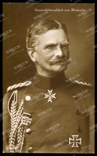 Foto portrait - foto,