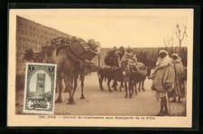 Fez, Convoi de chameaux aux