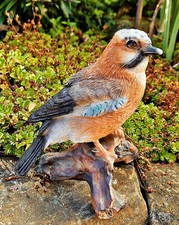 ❀ Eichelhäher Lebensecht