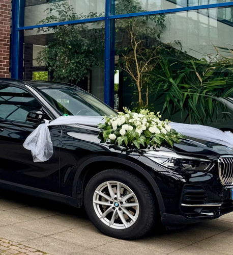 Autoschmuck hochzeit set - hochzeit,