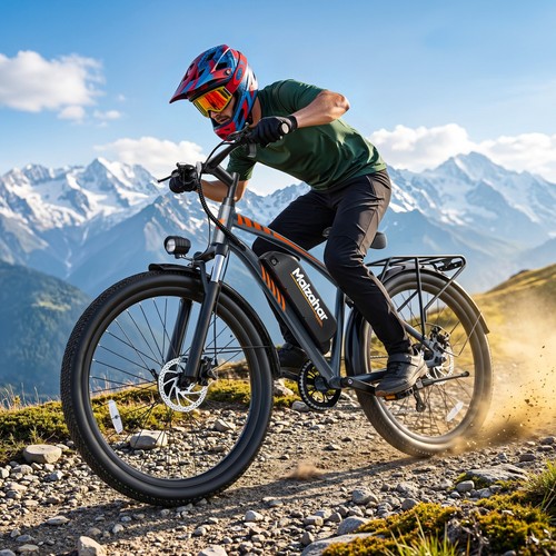 Zoll elektrofahrrad 1000w - elektrofahrrad,