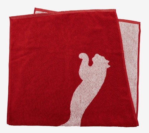Puma team small - puma, sport