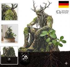 Garten Stecker Draußen Deko