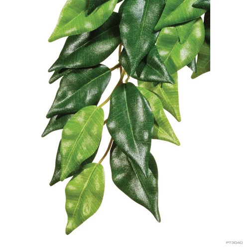 Exo terra ficus hängende - –,