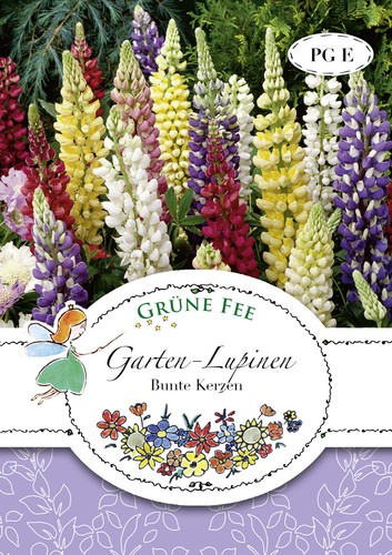 Garten lupinen bunte kerzen - lupinen,