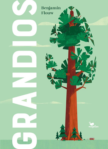 Grandios benjamin flouw - benjamin, |