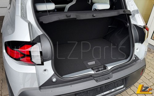 Dacia spring doppelter - spring,