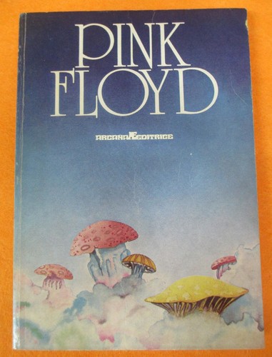 Pink floyd buch 1978 - buch,