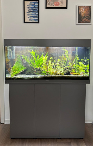 Juwel rio 180 liter - juwel,