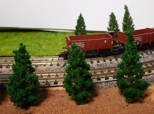 20 dunkelgrüne Tannen