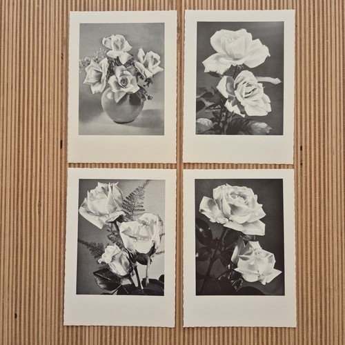 Vintage postkarten - 4,