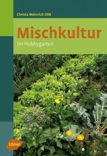 Mischkultur hobbygarten - hobbygarten,