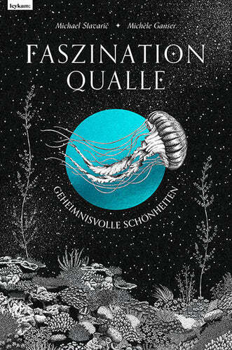 Faszination qualle - faszination,